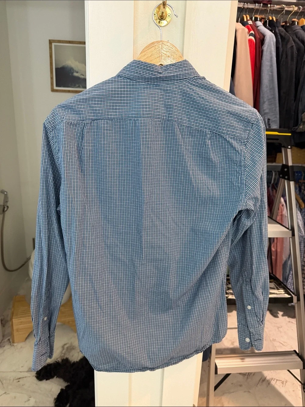 J. Crew Blue and White Gingham Button-Down Shirt